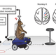 Credit: Duke Health/Nature Neuroscience